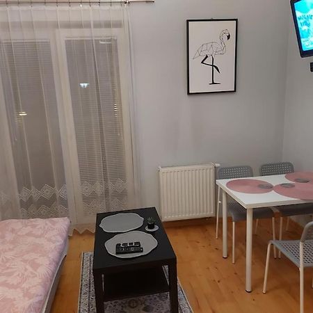Homelyapartment Krakow Bagian luar foto
