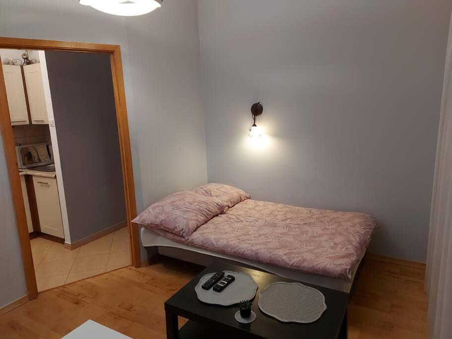 Homelyapartment Krakow Bagian luar foto