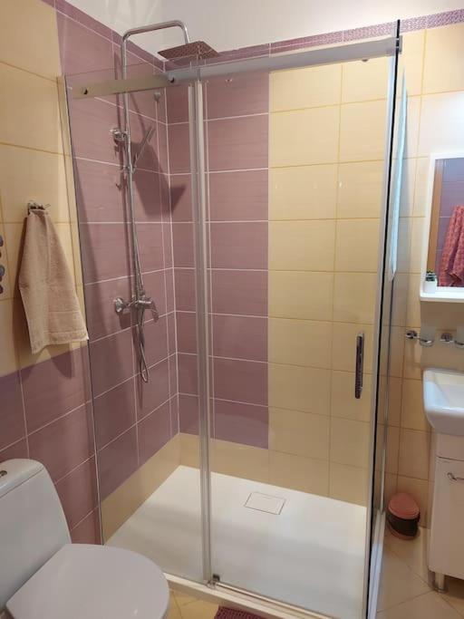 Homelyapartment Krakow Bagian luar foto