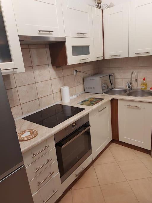 Homelyapartment Krakow Bagian luar foto